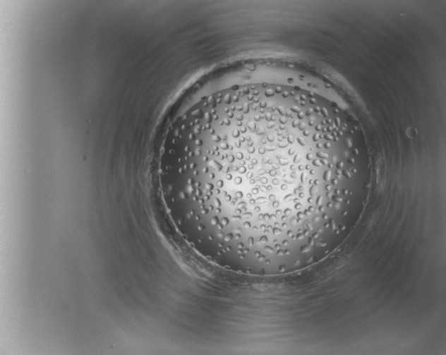 X0000080130436200612302040