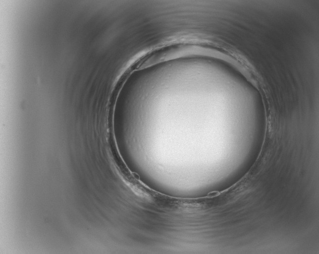 X0000080130438200612302040