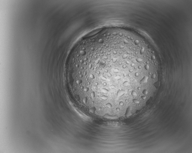 X0000080130439200612302040