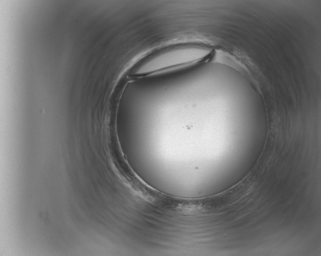 X0000080130440200612302040