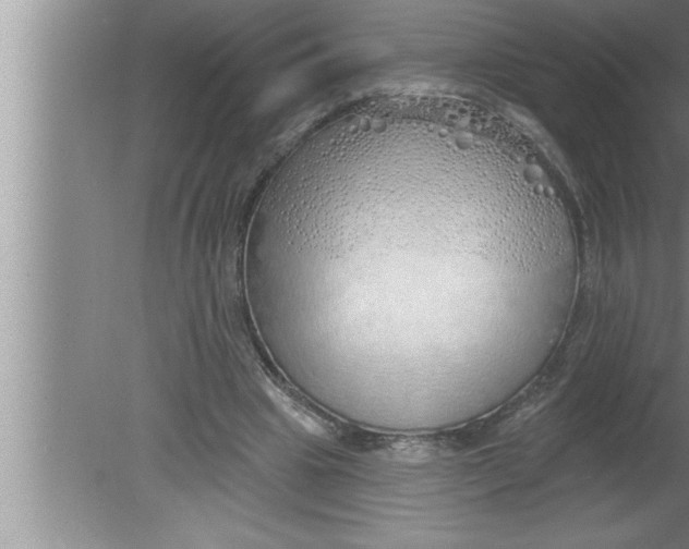 X0000080130441200612302040