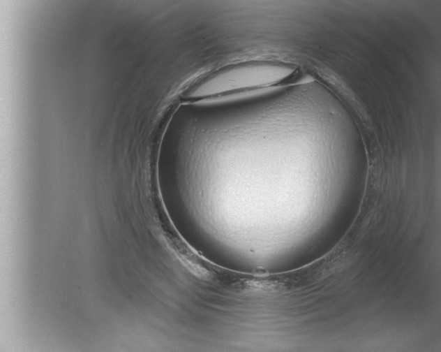 X0000080130442200612302040