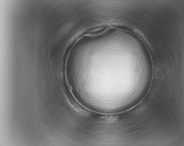 X0000080130443200612302040