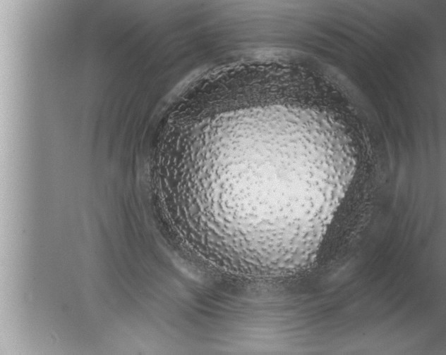 X0000080130444200612302040