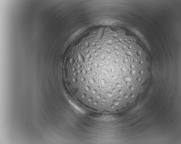 X0000080130445200612302040