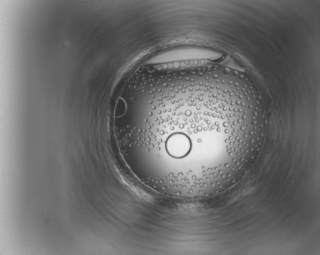 X0000080130446200612302040