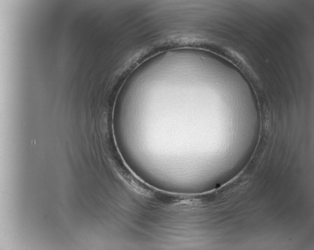 X0000080130447200612302040