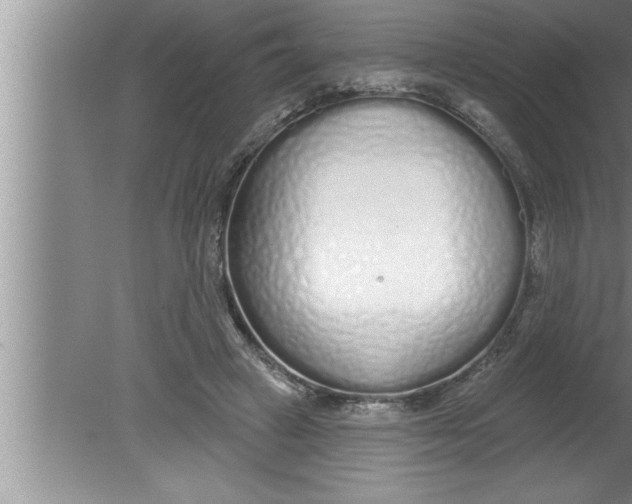 X0000080130449200612302040