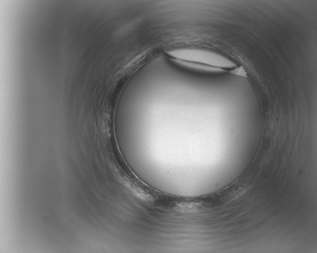 X0000080130450200612302040