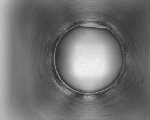 X0000080130451200612302040