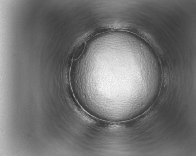 X0000080130453200612302040