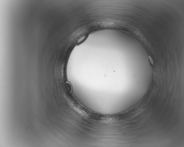 X0000080130454200612302040