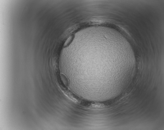 X0000080130455200612302040