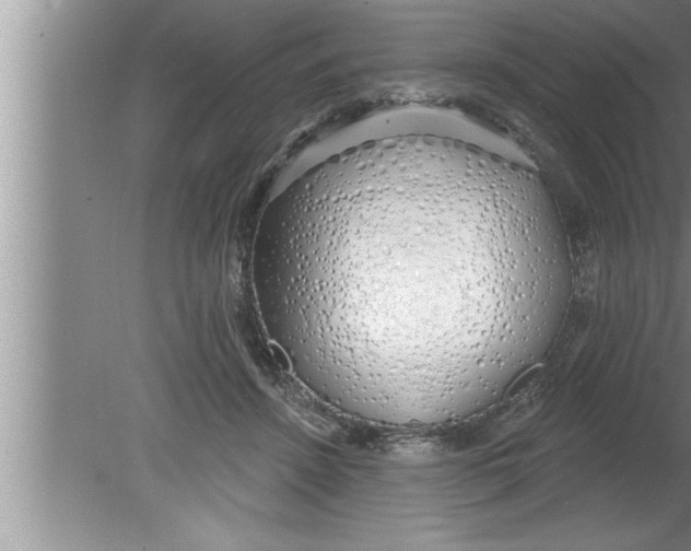 X0000080130456200612302040