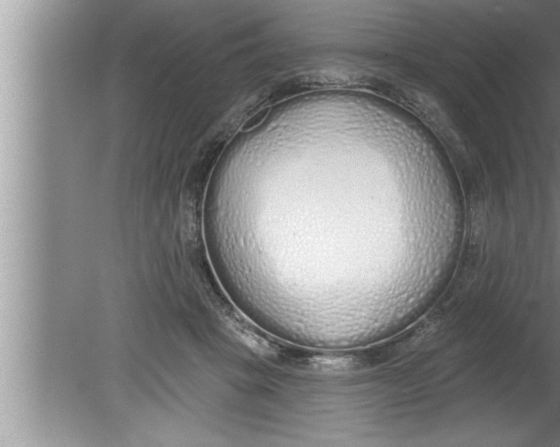 X0000080130457200612302040