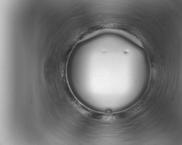 X0000080130458200612302040