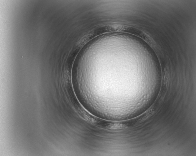 X0000080130459200612302040