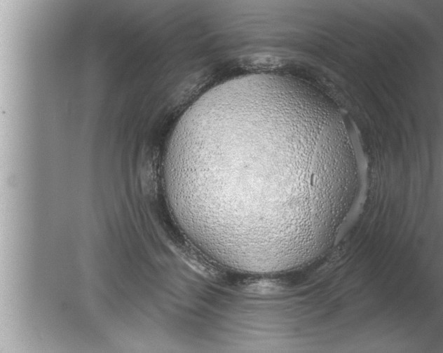 X0000080130460200612302040