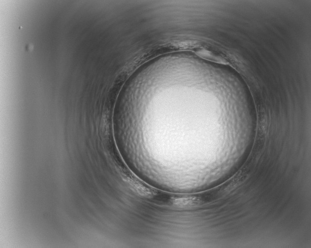 X0000080130461200612302040