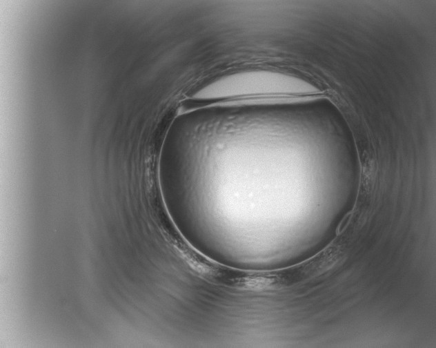 X0000080130462200612302040