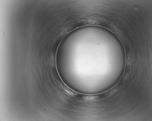 X0000080130465200612302040