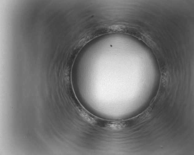 X0000080130466200612302040