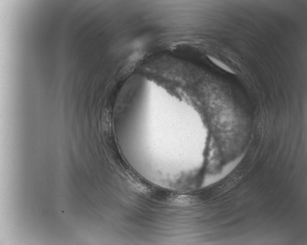 X0000080130467200612302040