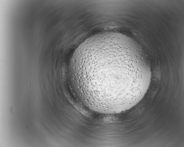 X0000080130468200612302040