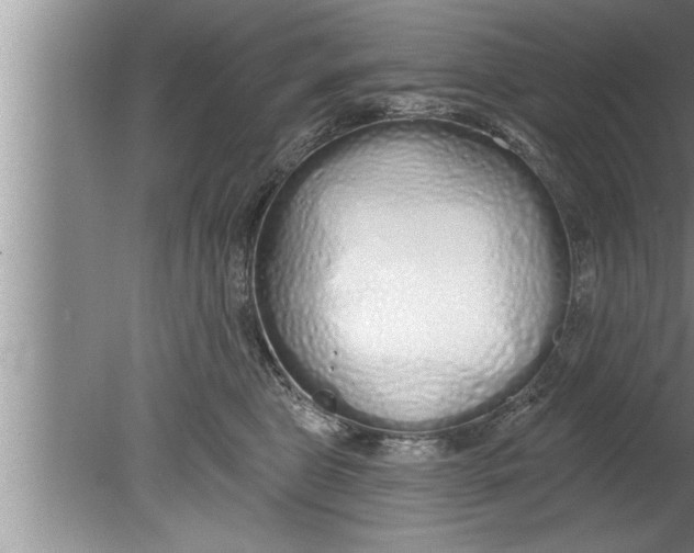 X0000080130469200612302040