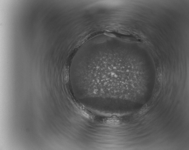 X0000080130471200612302041