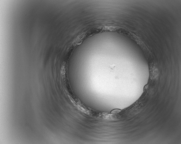 X0000080130472200612302041