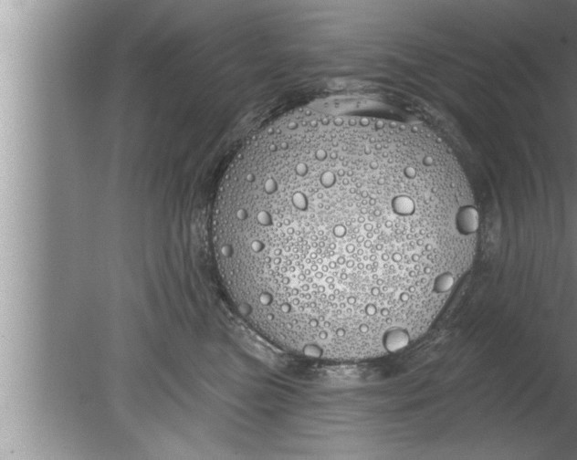 X0000080130473200612302041