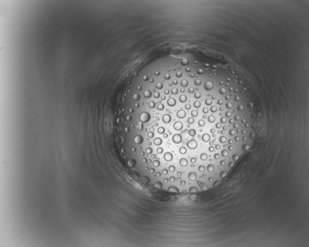 X0000080130474200612302041