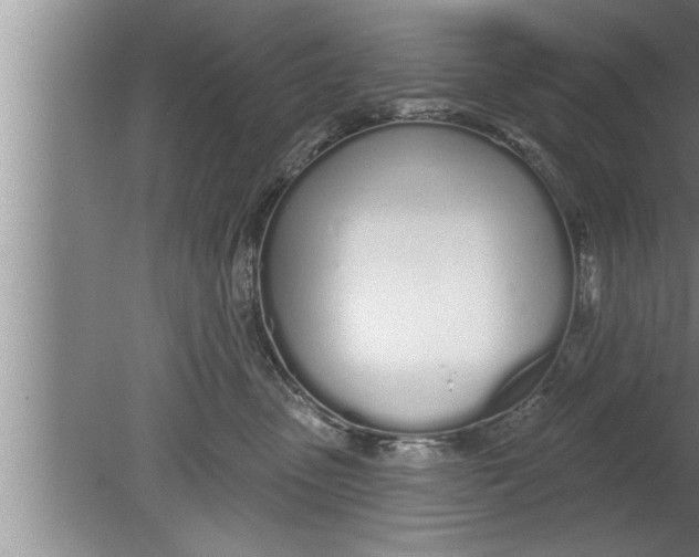 X0000080130475200612302041