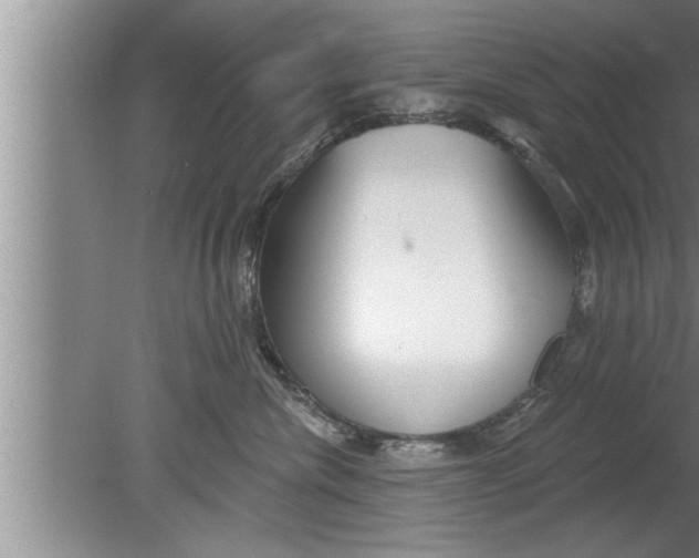 X0000080130476200612302041