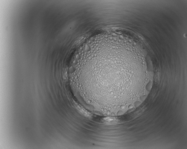 X0000080130477200612302041