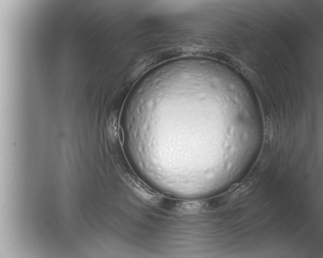 X0000080130479200612302041