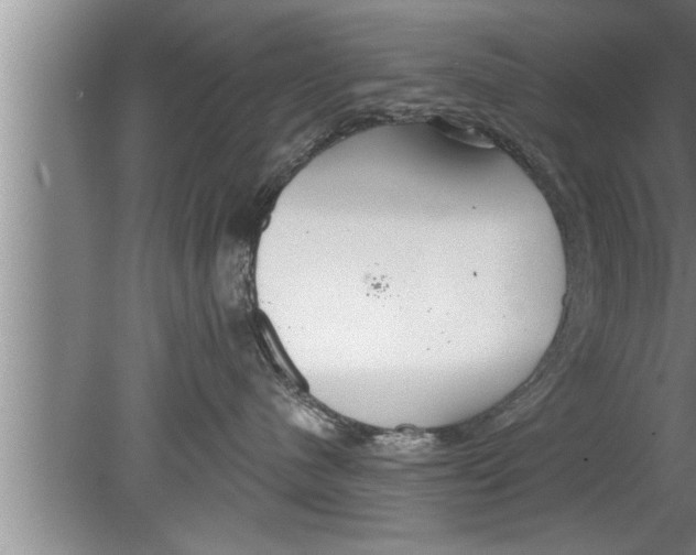 X0000080130480200612302041