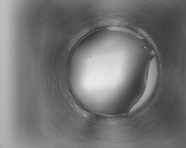 X0000080130481200612302040