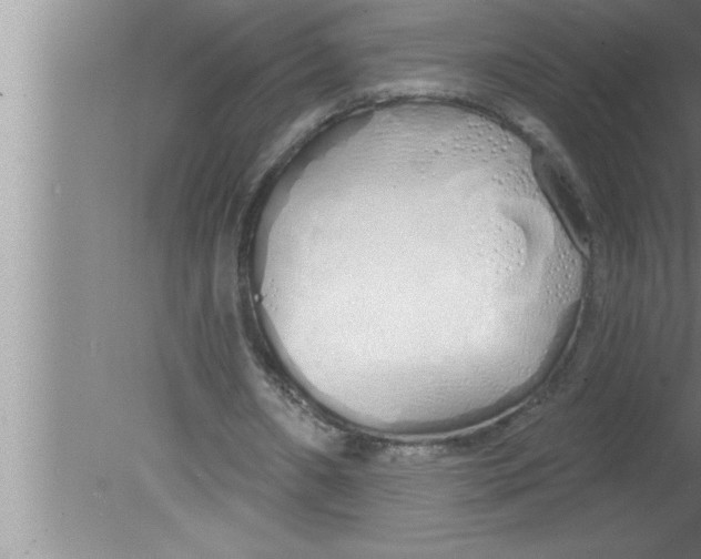 X0000080130482200612302040