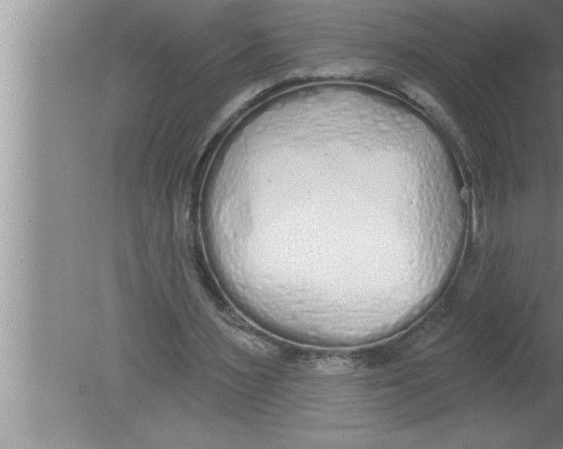 X0000080130483200612302040