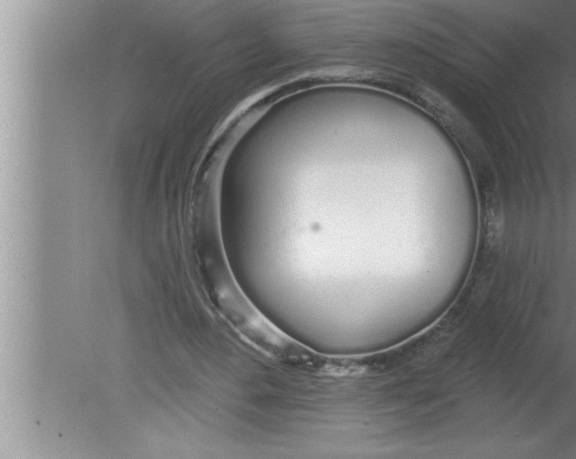 X0000080130484200612302040