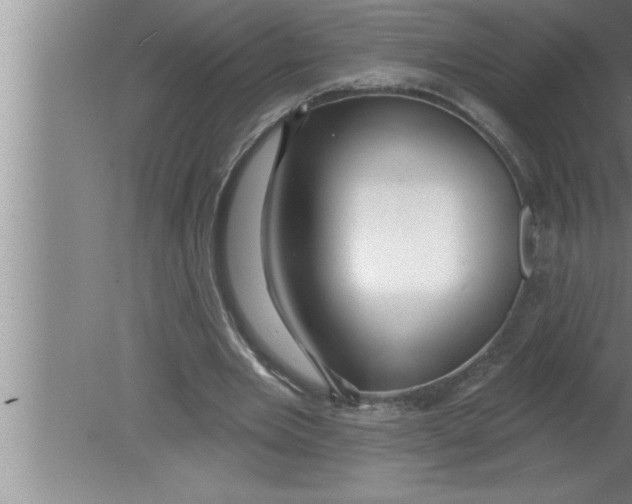 X0000080130485200612302040