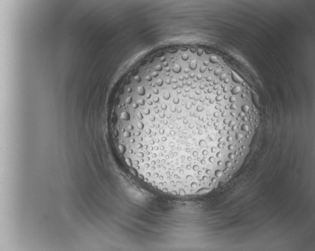 X0000080130486200612302040