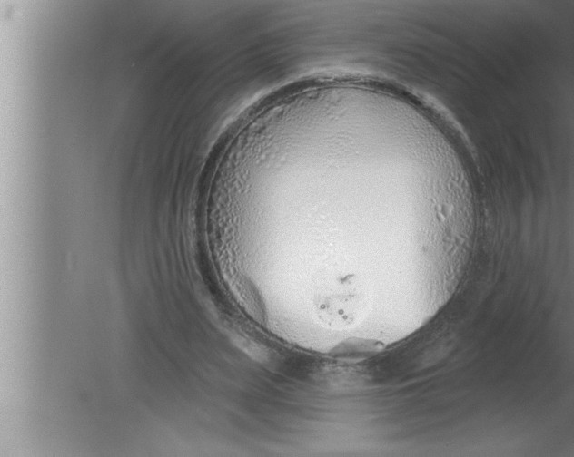 X0000080130487200612302040