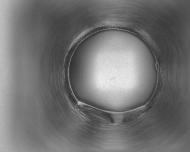 X0000080130488200612302040