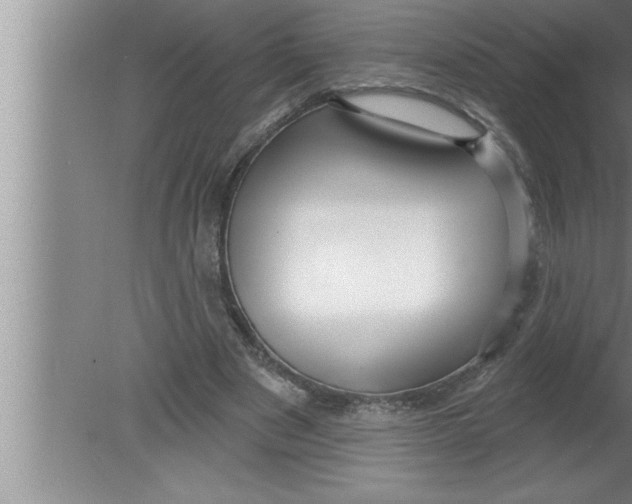 X0000080130489200612302040