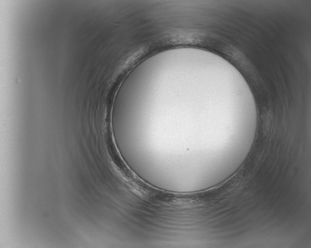 X0000080130490200612302040