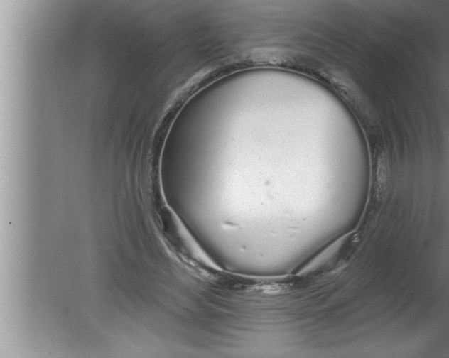 X0000080130492200612302040