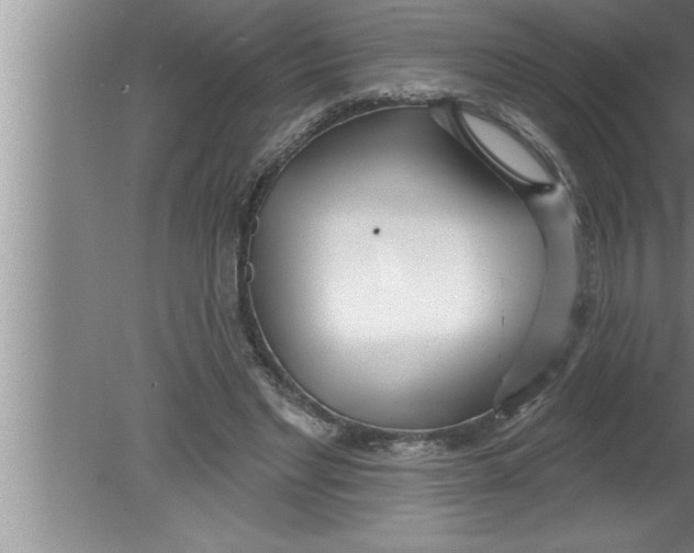 X0000080130493200612302040